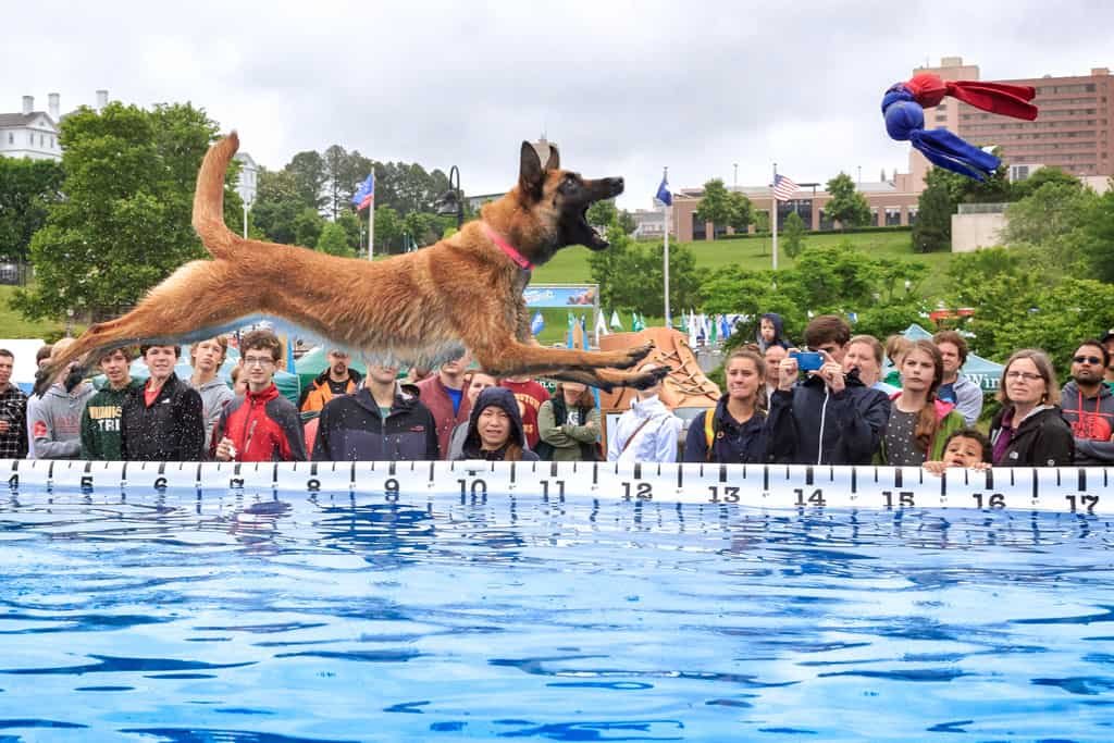 Ultimate Air Dogs: Chris Tennant ($50)