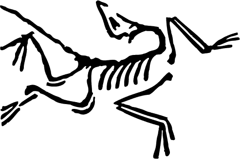Arc’teryx